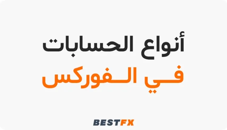 أنواع الحسابات في الفوركس