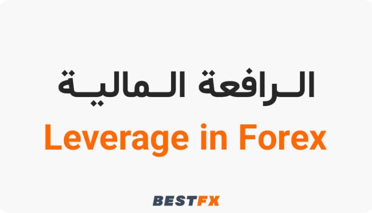 الرافعة المالية في الفوركس