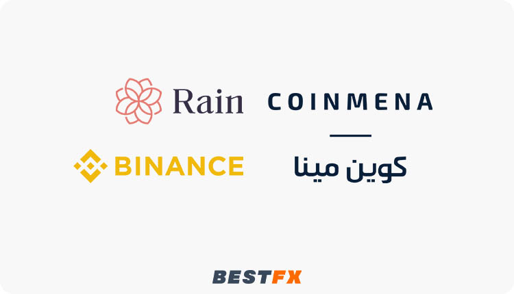 المنصات الشائعة