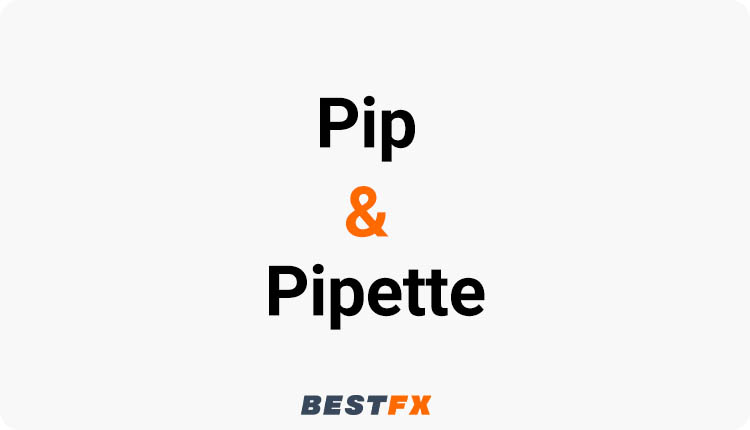 النقطة (Pip) والنقطة الجزئية (Pipette)