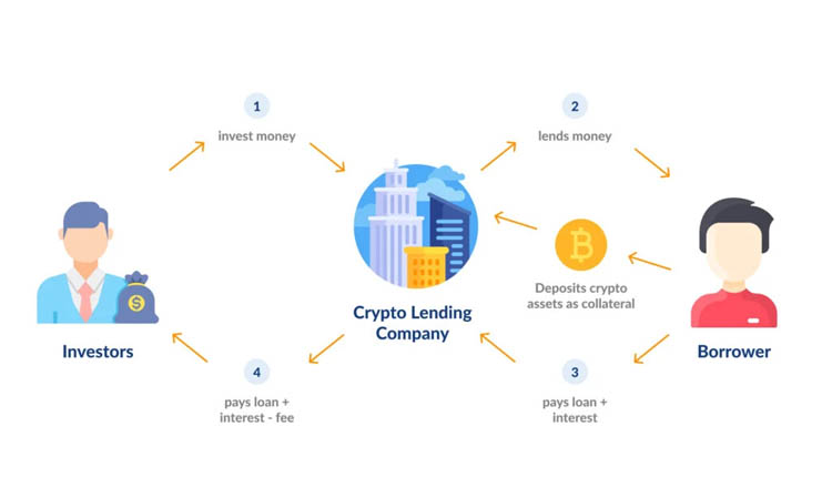برامج الإقراض والتخزين (Staking & Lending)