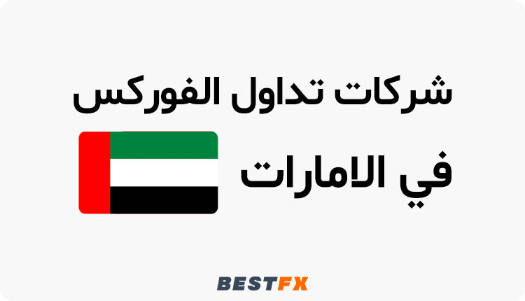أفضل شركات التداول في الامارات