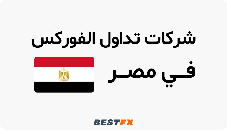 أفضل شركات الفوركس المرخصة في مصر