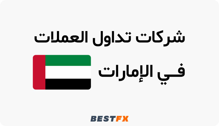 أفضل شركات تداول العملات المشفرة في الإمارات
