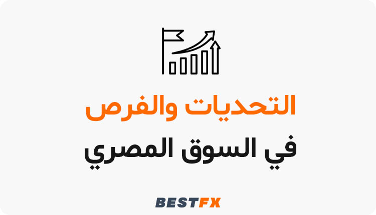  التحديات والفرص في السوق المصري