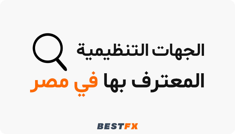 الجهات التنظيمية المعترف بها في مصر