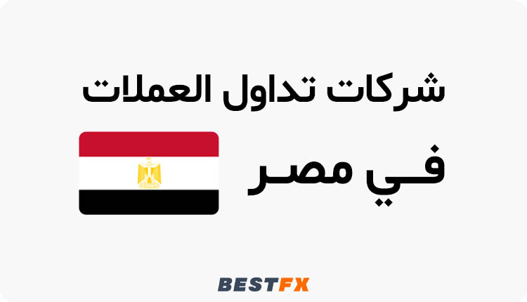 شركات تداول العملات المشفرة في