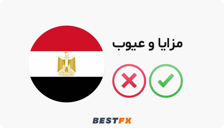 مزايا و عيوب التداول مع الشركات المرخصة في مصر
