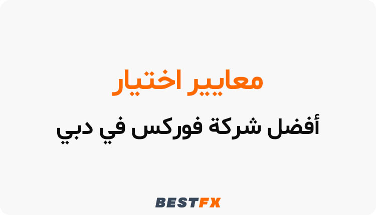 معايير اختيار أفضل شركة فوركس في دبي