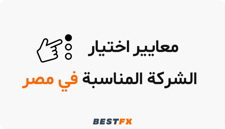 معايير اختيار الشركة المناسبة في مصر