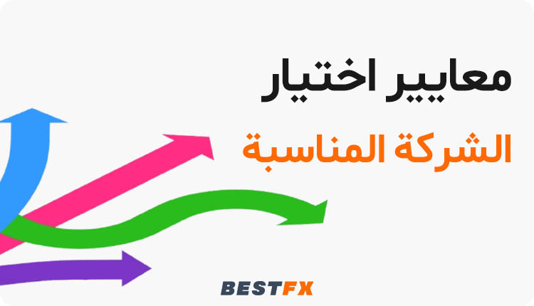 معايير اختيار الشركة المناسبة