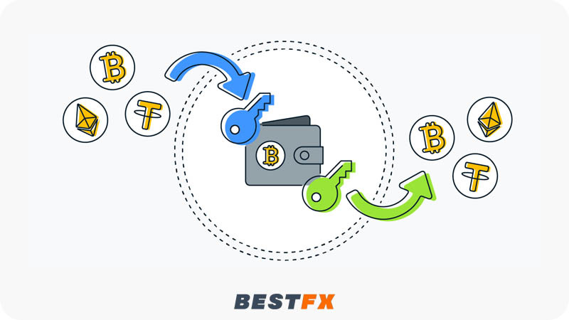 المحفظة الرقمية وكيفية استخدامها