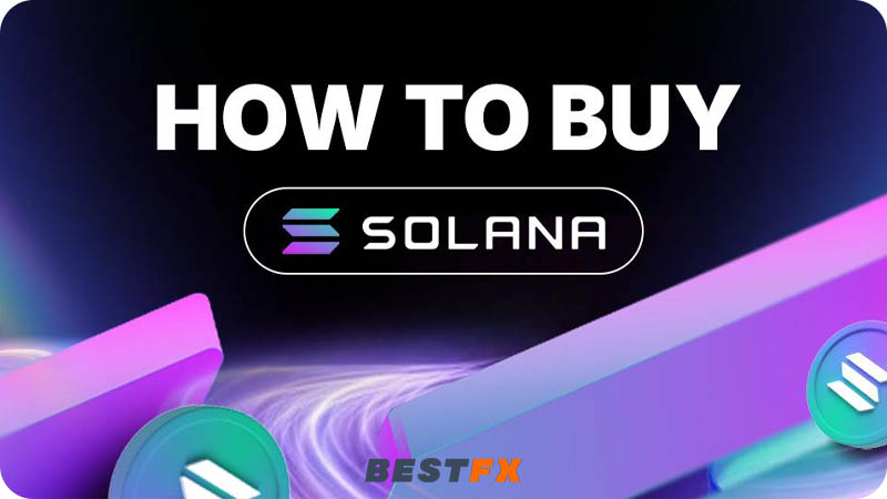 كيف تشتري سولانا